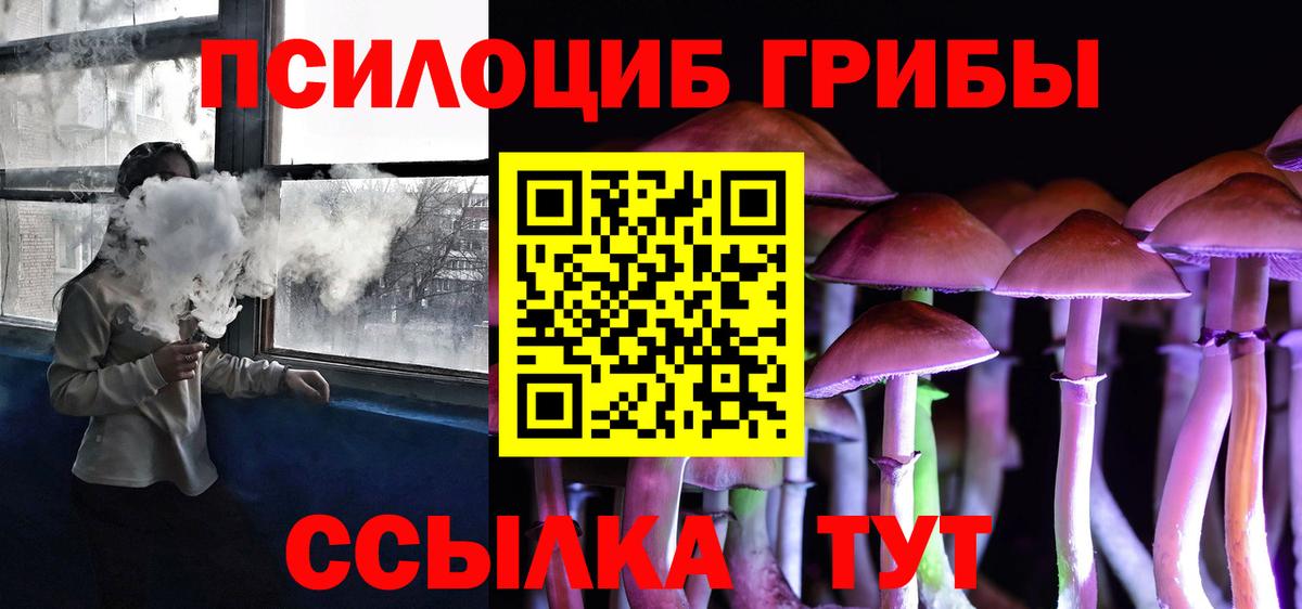 Галлюциногенные грибы Psilocybine cubensis Орехово-Зуево